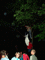 Rove��n��